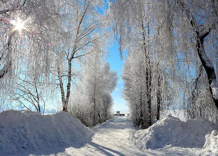 Prielau By We Rent Appartamento *