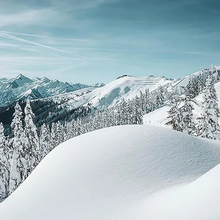 Lägenhet Prielau By We Rent *