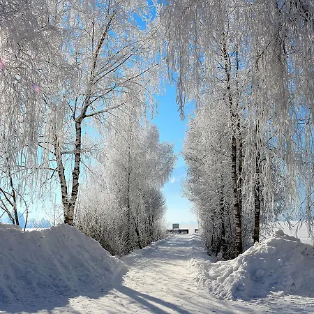 Prielau By We Rent Apartman *